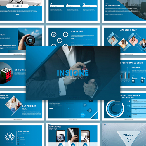 Insigne Company Presentation