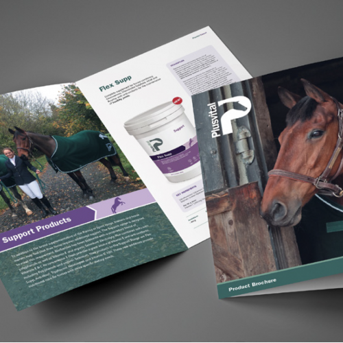 Equine Supplement Brochure