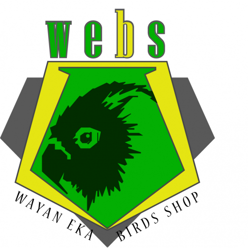 webs