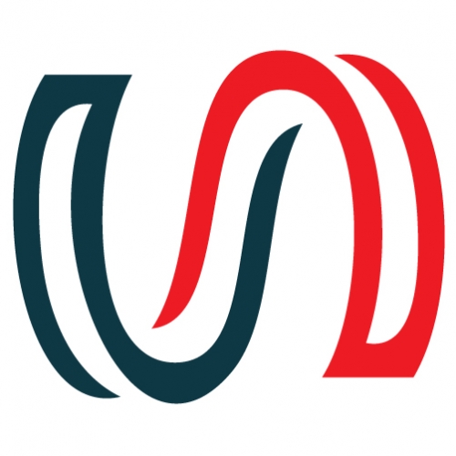 Logo N