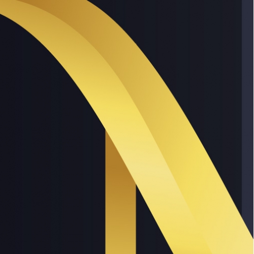 logo N