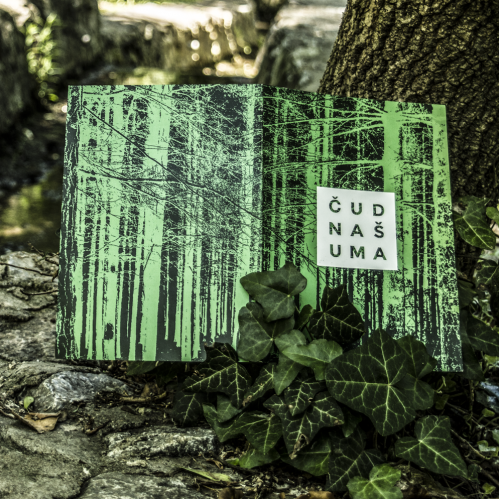 Brochure Design