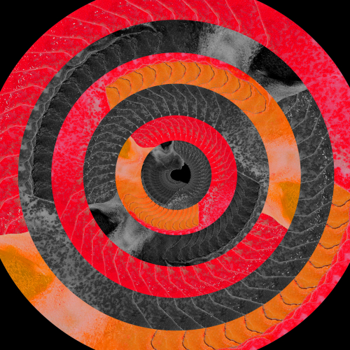 Circling the Drain
