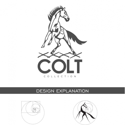 Logo Modernization for Brand Identity Development