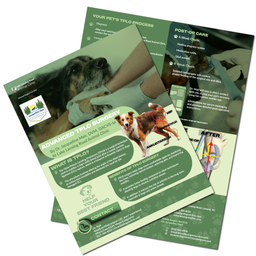 TPLO SURGERY Flyer