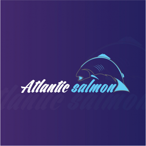 salmon fish logo