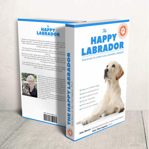 Book cover design thumb