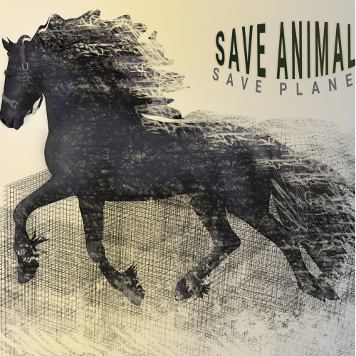 running horse