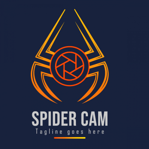 Spider cam