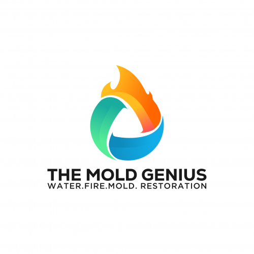 the mold genius
