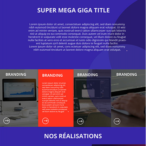 Professional website design