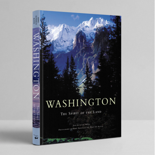 Book cover design thumb