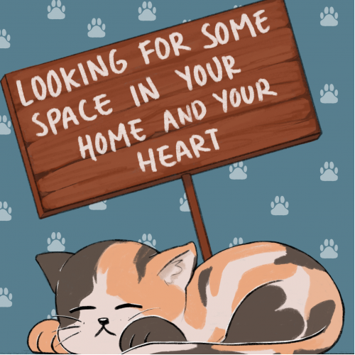Looking for some space