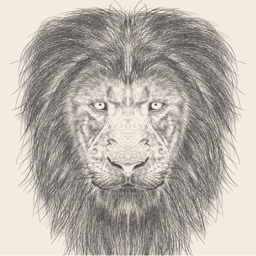 Lion Avatar Illustration Design