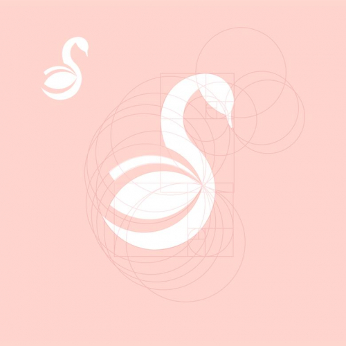 swan