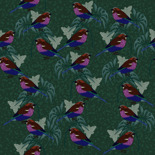 Color bird