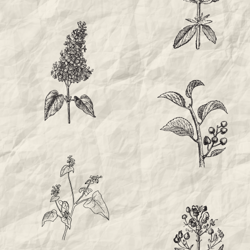 Botany