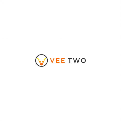 v logo
