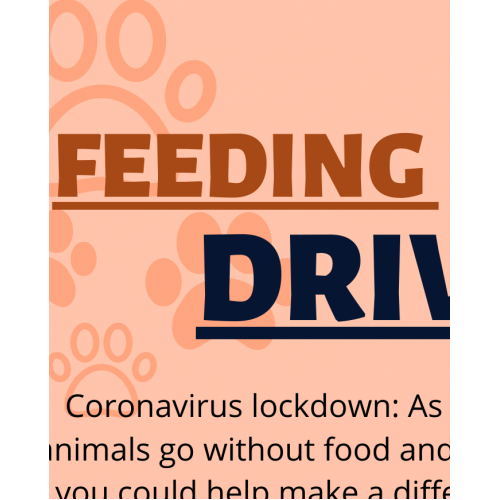 FOOD DRIVE