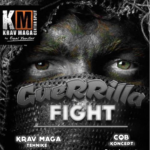 Poster for Guerilla Fight