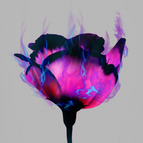 Blue Fire