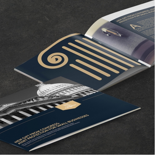 White Paper, Brochure