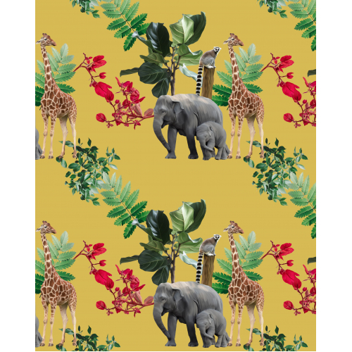 Safari