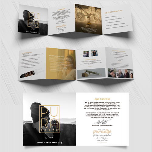 brochure design template thumb