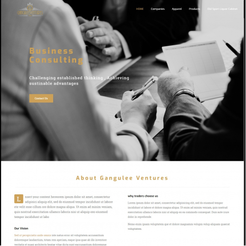 Business Consulting Website