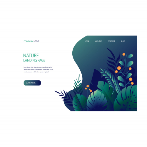 website design