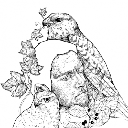 illustration