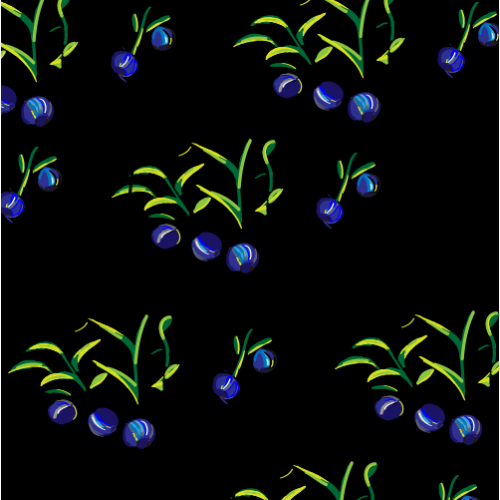 Blueberries