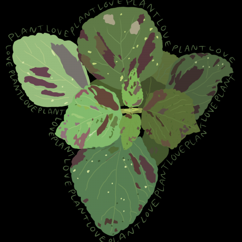 Plant Love