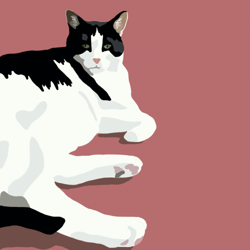 Lounging cat