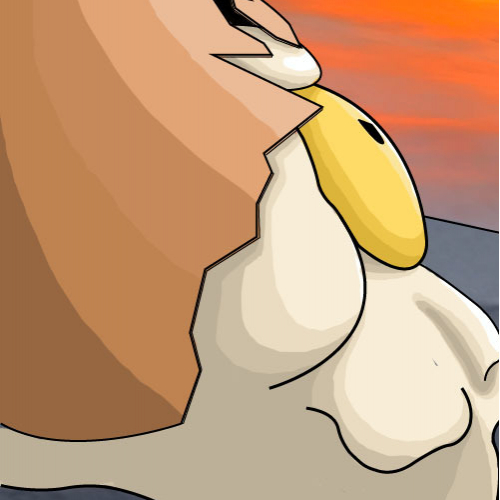 yolky sunset