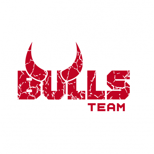 Bulls sport team logo