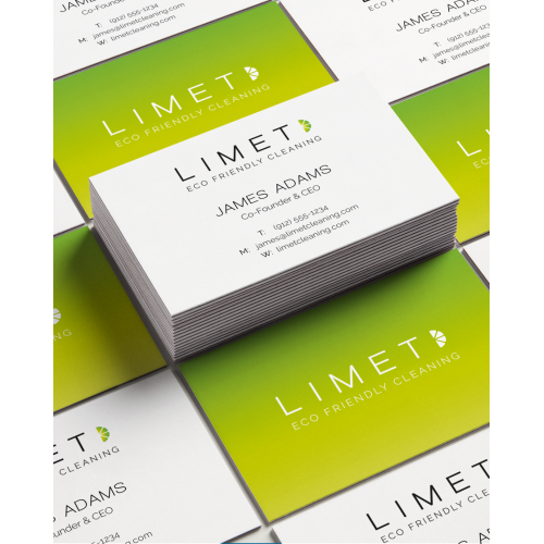 Logo and Business Card design for Eco friendly cleaning thumb