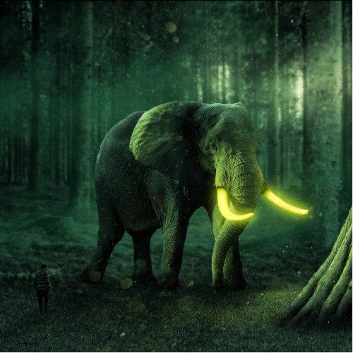 Luminous Guardians of the Forest