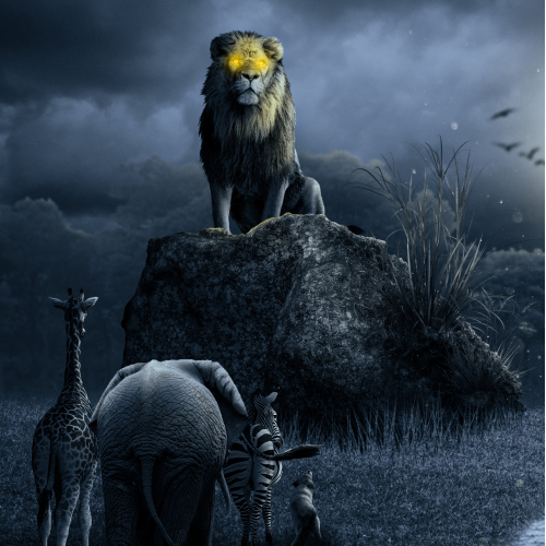 Moonlit Monarch: The King's Watch