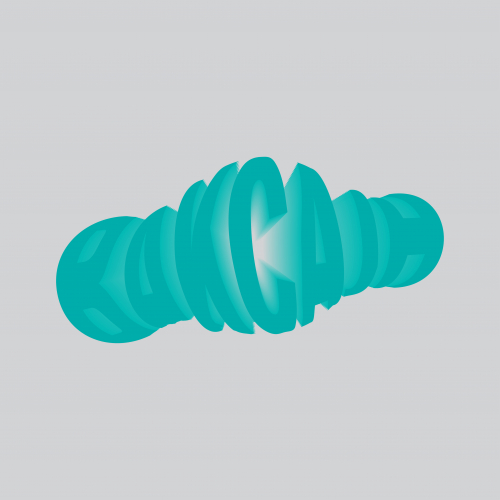 That one time where we made fun of our prime minister