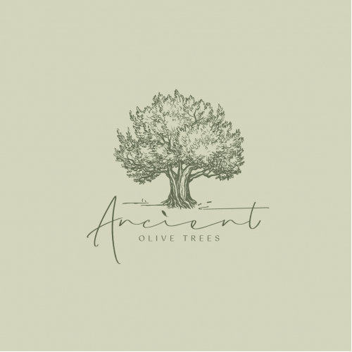 Ancients Olive Trees