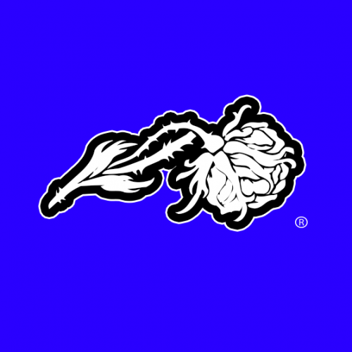 Wicked Rose Logo