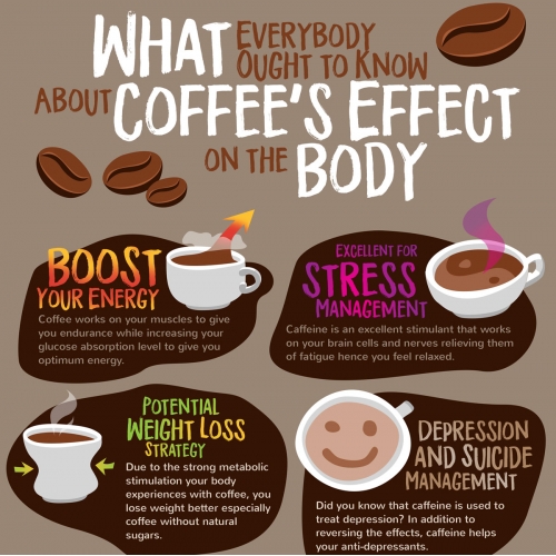 What coffee does to our body thumb