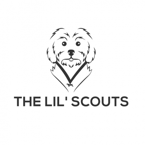 the lil scouts logo design