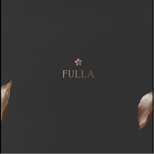 Concept design for brand identity Fulla thumb