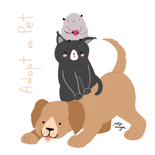 Adopt a Pet