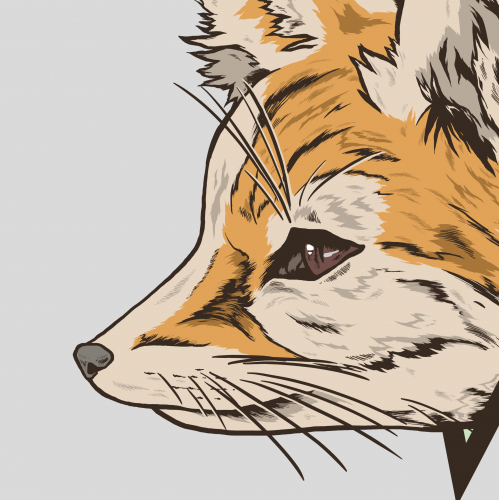 Fennec fox