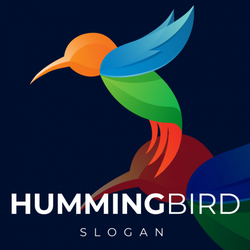 Humming Bird Abstract Logo