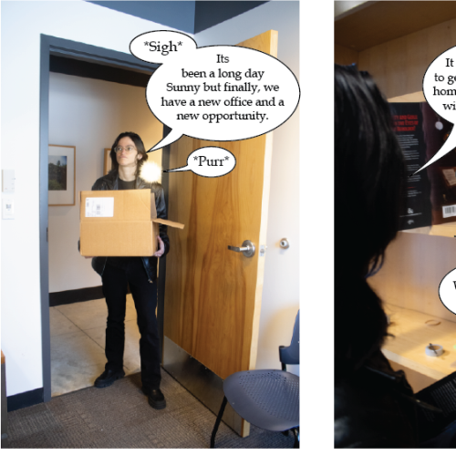Photography Comic: The Secret Door