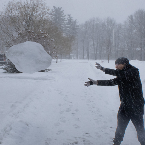 Snowball